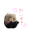 RaMuのゆるゆるスタンプ（個別スタンプ：11）