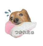 まめたろう ♡（個別スタンプ：12）