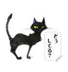 黒猫Nico（個別スタンプ：5）