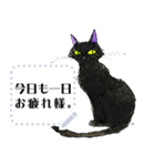 黒猫Nico（個別スタンプ：9）
