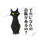 黒猫Nico（個別スタンプ：10）