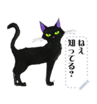 黒猫Nico（個別スタンプ：12）