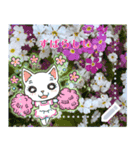 猫の花見（春） メッセージスタンプ（個別スタンプ：4）