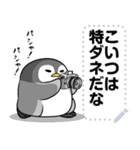 太っちょペンギン メッセージスタンプ（個別スタンプ：19）
