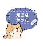 柴犬のメッセージスタンプ（個別スタンプ：18）