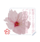 梅と桜で春のメッセージ（個別スタンプ：24）