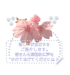春のメッセージ 桜とチューリップ添え（個別スタンプ：9）