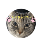 いぶきちゃんと愉快な仲間たち（個別スタンプ：1）
