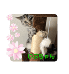 いぶきちゃんと愉快な仲間たち（個別スタンプ：5）