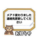 のらねこミミのオールインワンスタンプ（個別スタンプ：11）