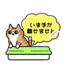 猫好きのためのメッセージスタンプ（個別スタンプ：18）