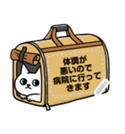 猫好きのためのメッセージスタンプ（個別スタンプ：21）