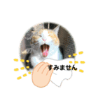 ミミ太郎と仲間たち（個別スタンプ：7）