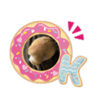 ミミ太郎と仲間たち（個別スタンプ：12）
