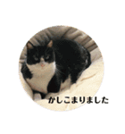 ミミ太郎と仲間たち（個別スタンプ：13）