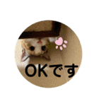 ミミ太郎と、、、（個別スタンプ：2）