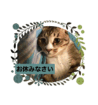 ミミ太郎と、、、（個別スタンプ：5）