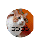 ミミ太郎と、、、（個別スタンプ：6）