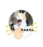 ミミ太郎と、、、（個別スタンプ：8）