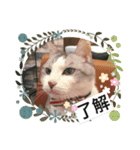 ミミ太郎と、、、（個別スタンプ：10）