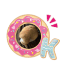 ミミ太郎と、、、（個別スタンプ：13）