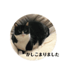 ミミ太郎と、、、（個別スタンプ：14）
