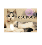 ミミ太郎と、、、（個別スタンプ：20）