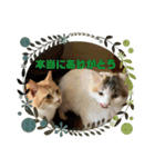 ミミ太郎と、、、（個別スタンプ：22）