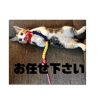 ミミ太郎と、、、（個別スタンプ：23）