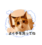 ミミ太郎と、、、（個別スタンプ：24）