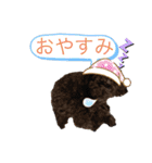 トイプードルの1日、。（個別スタンプ：6）