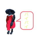 トイプードルの1日、。（個別スタンプ：15）
