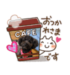 トイプードルの1日、。（個別スタンプ：21）