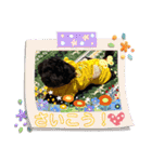 トイプードルの1日、。（個別スタンプ：29）