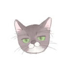 微妙な顔のネコ ミミちゃん（個別スタンプ：3）
