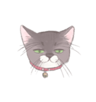 微妙な顔のネコ ミミちゃん（個別スタンプ：9）