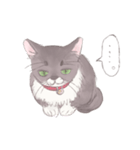 微妙な顔のネコ ミミちゃん（個別スタンプ：13）