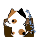 みけーず！（個別スタンプ：4）