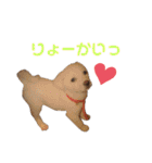 愛しの風太と虎太郎と愉快な仲間たち（個別スタンプ：19）