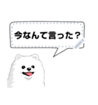 ポメラニアン(犬)のメッセージ 日本版（個別スタンプ：1）
