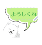 ポメラニアン(犬)のメッセージ 日本版（個別スタンプ：6）