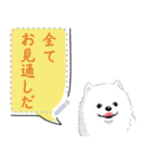 ポメラニアン(犬)のメッセージ 日本版（個別スタンプ：7）