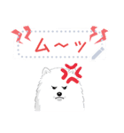 ポメラニアン(犬)のメッセージ 日本版（個別スタンプ：8）