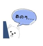 ポメラニアン(犬)のメッセージ 日本版（個別スタンプ：13）