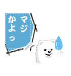 ポメラニアン(犬)のメッセージ 日本版（個別スタンプ：14）