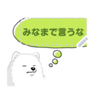 ポメラニアン(犬)のメッセージ 日本版（個別スタンプ：16）