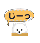ポメラニアン(犬)のメッセージ 日本版（個別スタンプ：18）