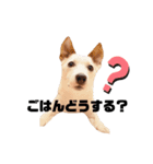 ロンネロ☆スタンプ（個別スタンプ：8）
