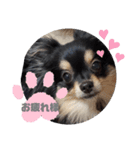 麦ちゃん♡2（個別スタンプ：1）