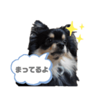麦ちゃん♡2（個別スタンプ：3）